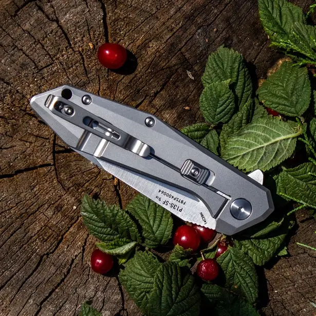9 - Складний ніж Ruike P135-SF