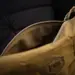 10 - Плечова однолямкова сумка M-TAC Magnet Bag X-Pac Elite. Койот