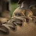 5 - Кросівки M-TAC Summer Pro Coyote
