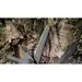9 - Мультитул Multi Tool Ganzo G201-B