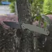 2 - Ніж складаний Ruike P801-G