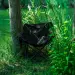 8 - Кресло складное Pentagon Tac Maven CAMP CHAIR Олива