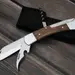 4 - Ніж складний Grey Wolf M26. Коричневий
