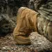 9 - Тактичні черевики Pentagon Scorpion V2 Suede 8. Койот