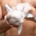 8 - Сухий душ TakeHot (1 шт)