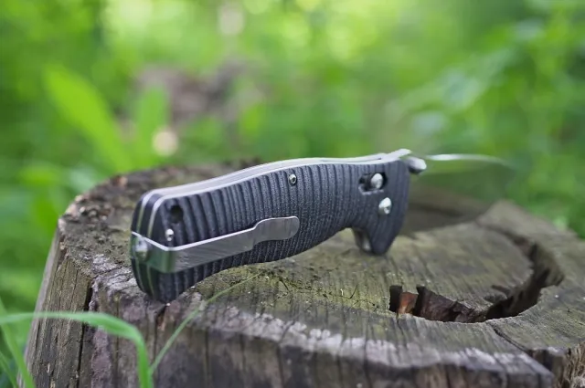 2 - Ніж складаний Ganzo G720-B чорний