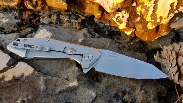 16 - Складний ніж Ruike P135-SF