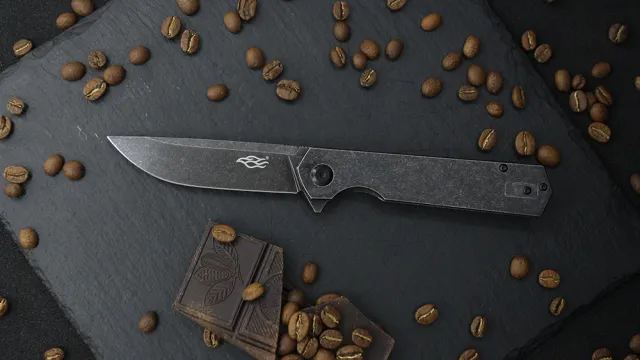 11 - Ніж складаний Ganzo Firebird FH13SS