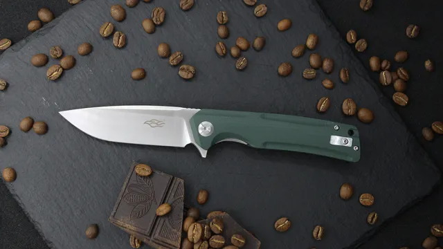9 - Ніж складаний Ganzo Firebird FH91-GB