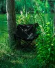 8 - Кресло складное Pentagon Tac Maven CAMP CHAIR Олива