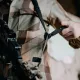6 - Ремінь збройовий RAGNAROK Katana (KATANA-К) стропа з пряжками QD (BASE-QD), Койот