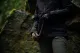 16 - Куртка жіноча Helikon Squall Hardshell Torrent Stretch. Чорний